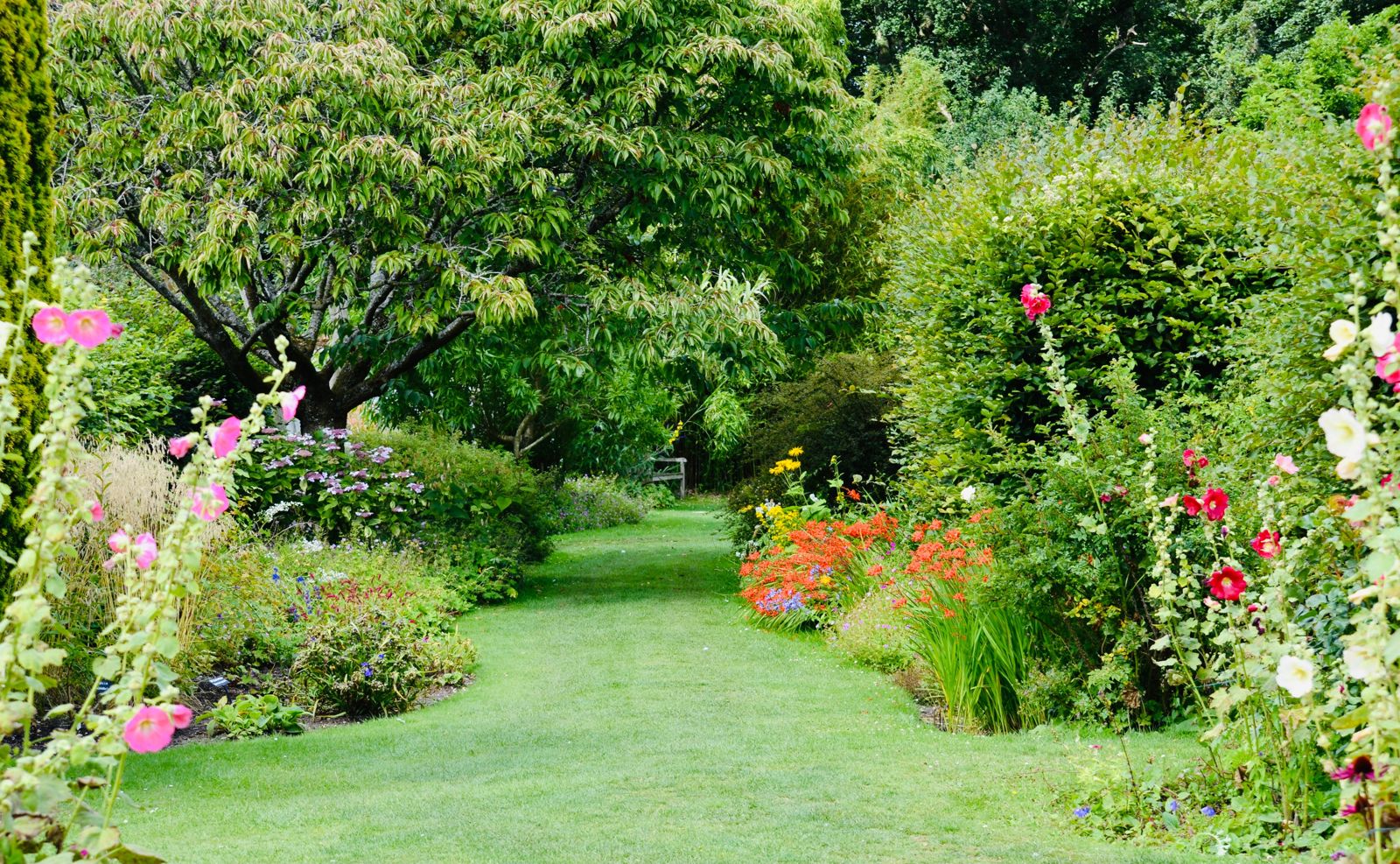 Sendero de césped entre flores y árboles